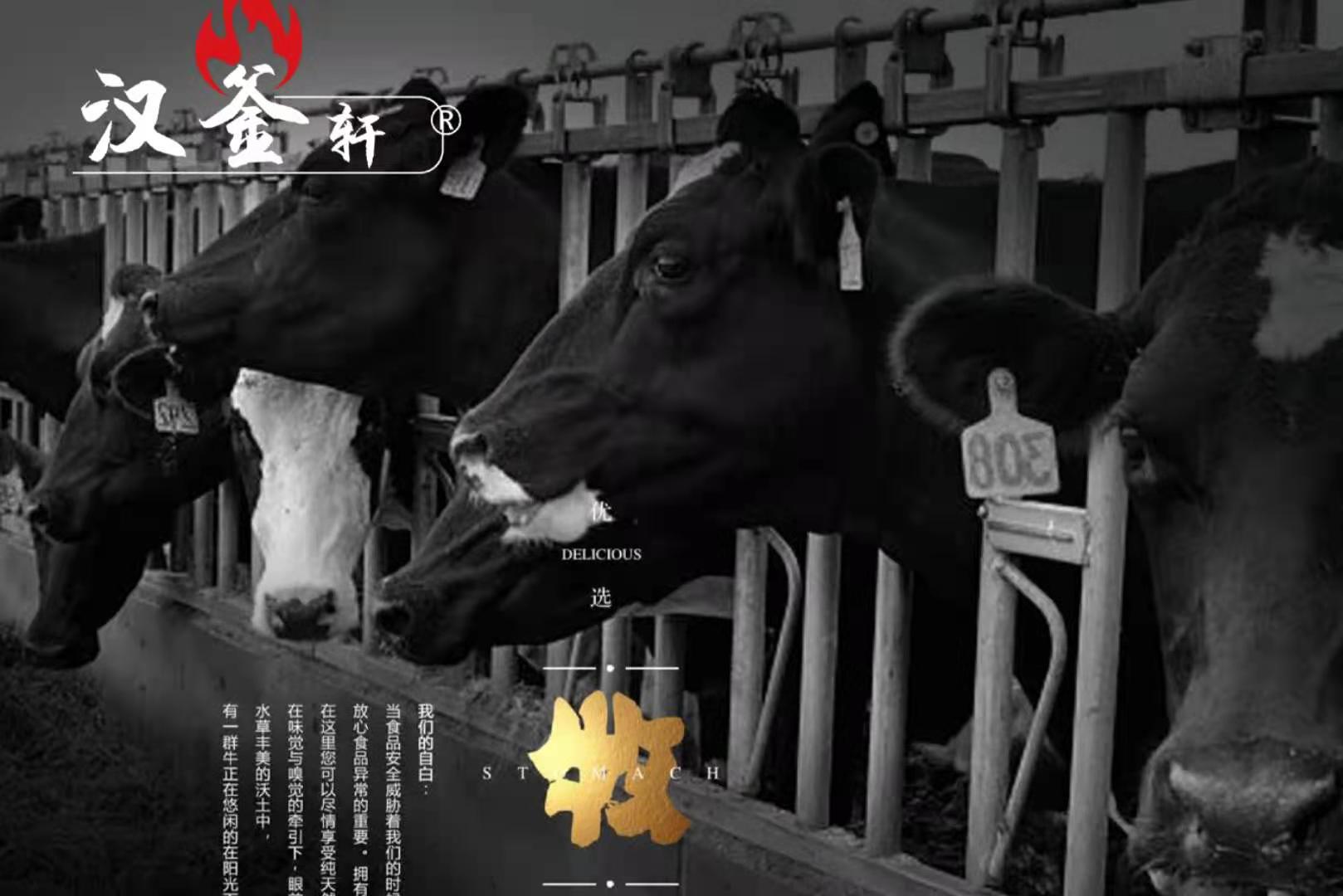汉釜轩牧场